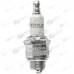 Bujie Briggs and Stratton Champion RJ19LM (Original)